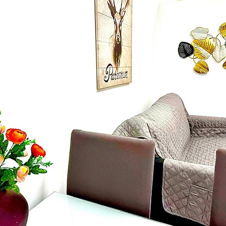 Apartamentos Sant Roc Valencia Eksteriør billede